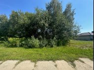 Dzialka Sprzedaż